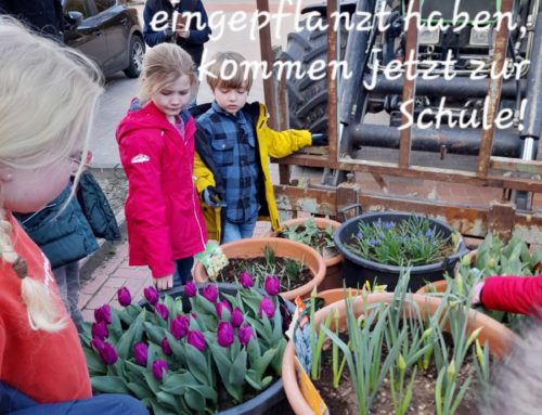 Garten AG