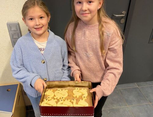 Gänse zu Sankt Martin